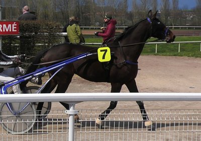 Av 14 04 21 L S4890032 Alexis