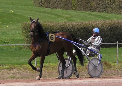Av 14 04 21 N S4890060 Fernando