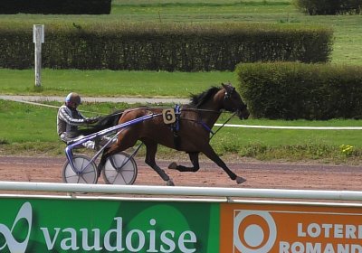 Av 14 04 21 N S4890065 Fernando