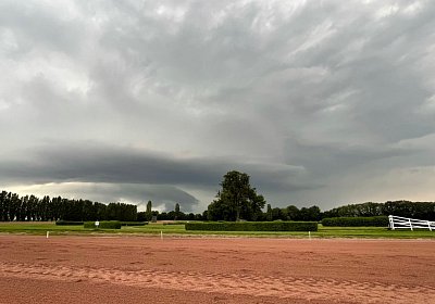 Av 24 Juli 21 Z IMG 0918