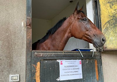 Milano 23 okt21 D IMG 7702 Rushmore