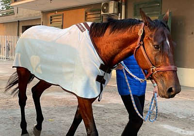 Milano 23 okt21 M IMG 7809 Rushmore