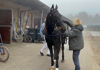 Av 12 nov21 A IMG 8759 Deniro