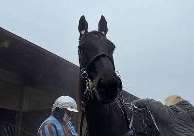 Av 12 nov21 A IMG 8766 Deniro