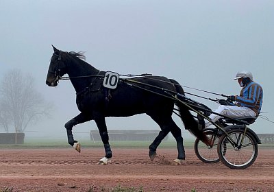 Av 12 nov21 A IMG 8773 Deniro