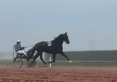 Av 12 nov21 A IMG 8776 Deniro