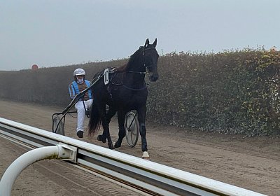 Av 12 nov21 A IMG 8800 Deniro