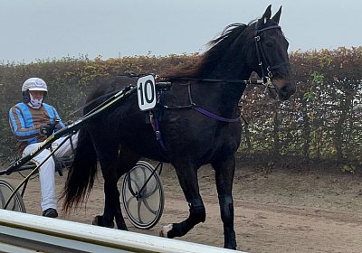 Av 12 nov21 A IMG 8803 Deniro