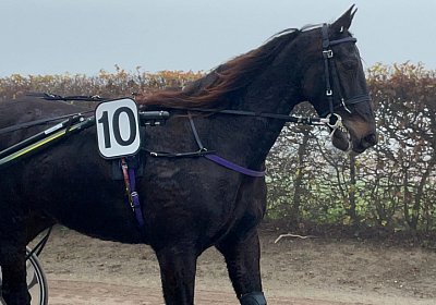 Av 12 nov21 A IMG 8804 Deniro