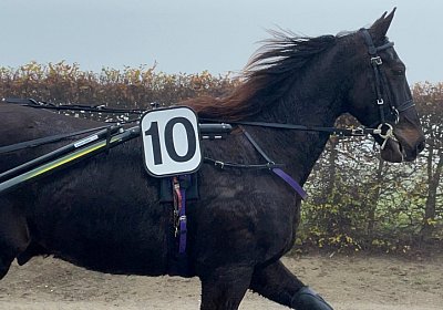 Av 12 nov21 A IMG 8805 Deniro