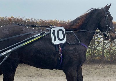 Av 12 nov21 A IMG 8806 Deniro