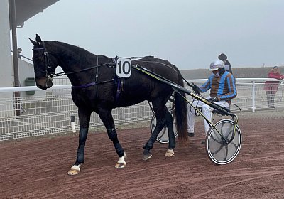 Av 12 nov21 A IMG 8809 Deniro