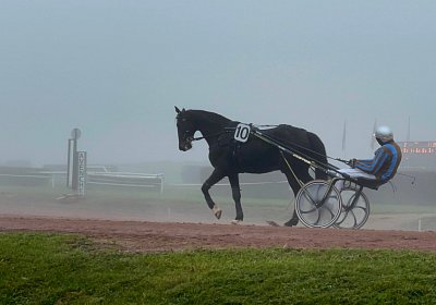 Av 12 nov21 C IMG 8818 Deniro