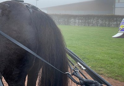 Av 12 nov21 C IMG 8821 Rudi Deniro