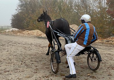 Av 12 nov21 G IMG 8793 Jack