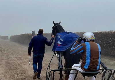 Av 12 nov21 J IMG 8832 Jack