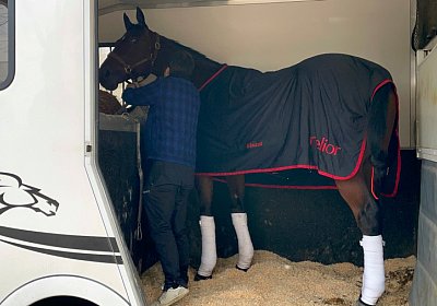 Montegiorgio Reise Rushmore 13 nov21 IMG 8974 Rushmore AbfahrtMailand