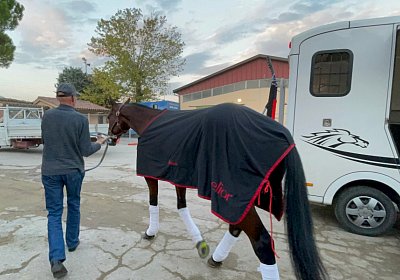 Montegiorgio Reise Rushmore 13 nov21 IMG 9029