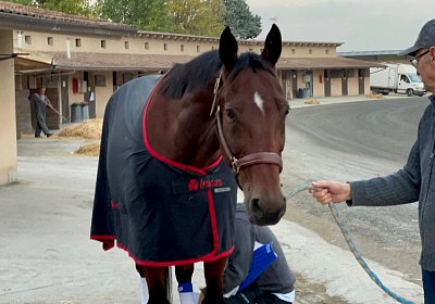 Montegiorgio Reise Rushmore 13 nov21 IMG 9038