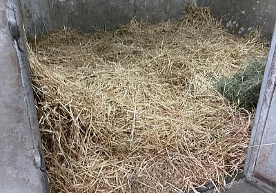 Montegiorgio Reise Rushmore 13 nov21 IMG 9043