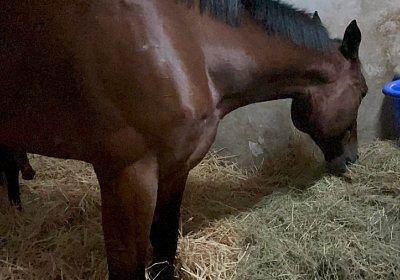 Montegiorgio Reise Rushmore 13 nov21 IMG 9052