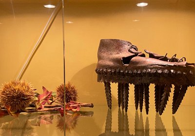 Montegiorgio Reise Rushmore 13 nov21 IMG 9081