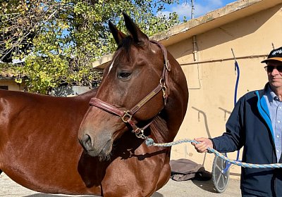 Montegiorgio Rushmore 14 nov21 IMG 9174