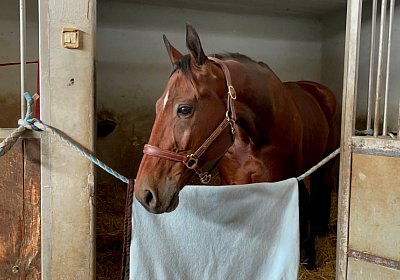 Montegiorgio Rushmore 14 nov21 IMG 9183