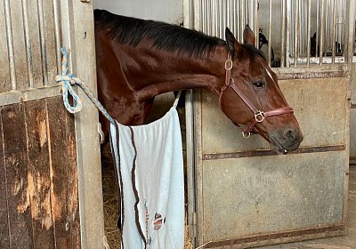 Montegiorgio Rushmore 14 nov21 IMG 9194