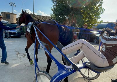 Montegiorgio Rushmore 14 nov21 IMG 9209