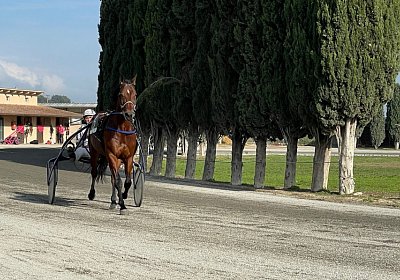 Montegiorgio Rushmore 14 nov21 IMG 9231