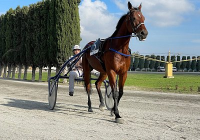 Montegiorgio Rushmore 14 nov21 IMG 9234