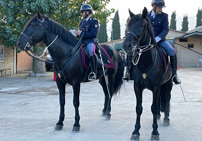 Montegiorgio Rushmore 14 nov21 IMG 9256