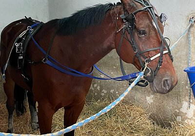 Montegiorgio Rushmore 14 nov21 IMG 9268