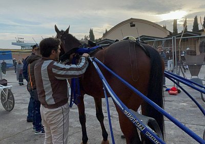 Montegiorgio Rushmore 14 nov21 L IMG 9278