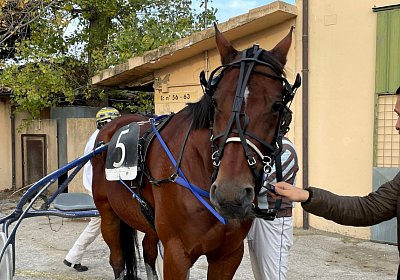 Montegiorgio Rushmore 14 nov21 L IMG 9283