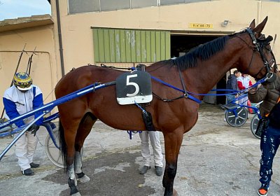 Montegiorgio Rushmore 14 nov21 L IMG 9284