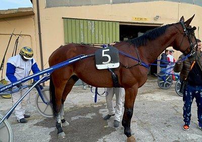 Montegiorgio Rushmore 14 nov21 L IMG 9285