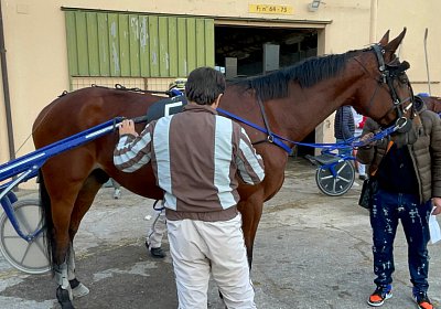 Montegiorgio Rushmore 14 nov21 L IMG 9287