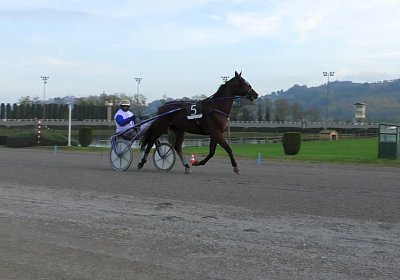 Montegiorgio Rushmore 14 nov21 M S5470008