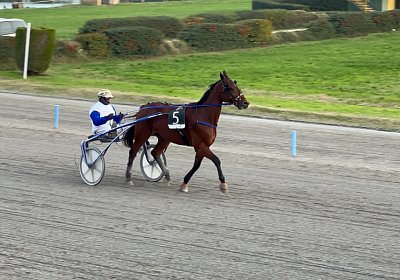 Montegiorgio Rushmore 14 nov21 N IMG 9294