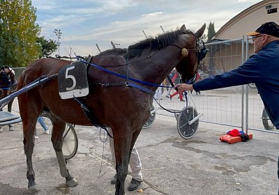Montegiorgio Rushmore 14 nov21 Y IMG 9298
