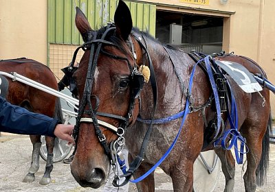 Montegiorgio Rushmore 14 nov21 Y IMG 9301