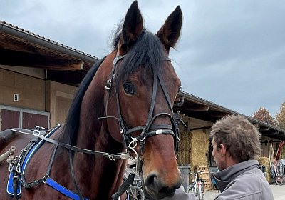 Boris 23 nov21 Boris IMG 9636