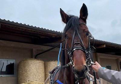 Boris 23 nov21 Boris IMG 9638