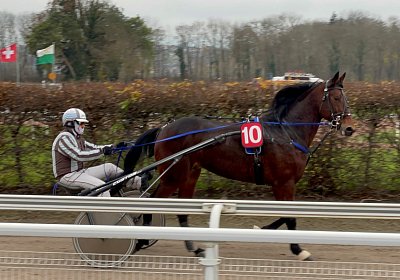 Boris 23 nov21 Boris IMG 9644