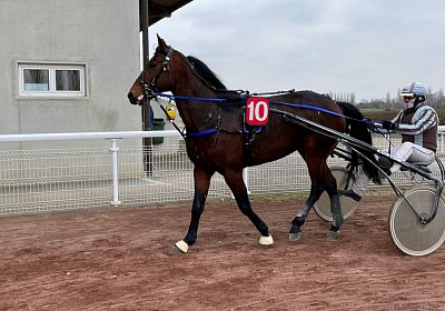 Boris 23 nov21 Boris IMG 9651