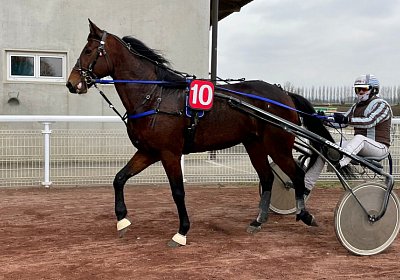 Boris 23 nov21 Boris IMG 9652