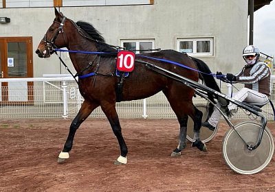 Boris 23 nov21 Boris IMG 9653