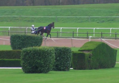 Boris 23 nov21 Boris S5490005